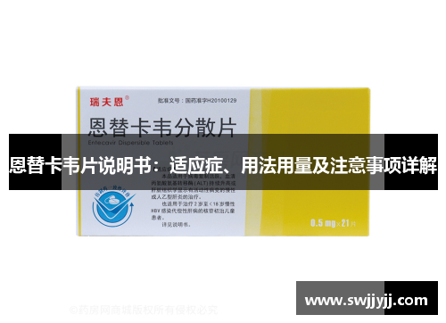 恩替卡韦片说明书：适应症、用法用量及注意事项详解